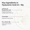 Load image into Gallery viewer, The Ordinary Hyaluronic Acid 2% + B5