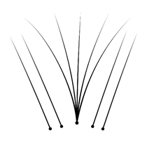 Hybrid